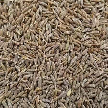 Cumin Seeds Exporters in Aligarh, Uttar Pradesh