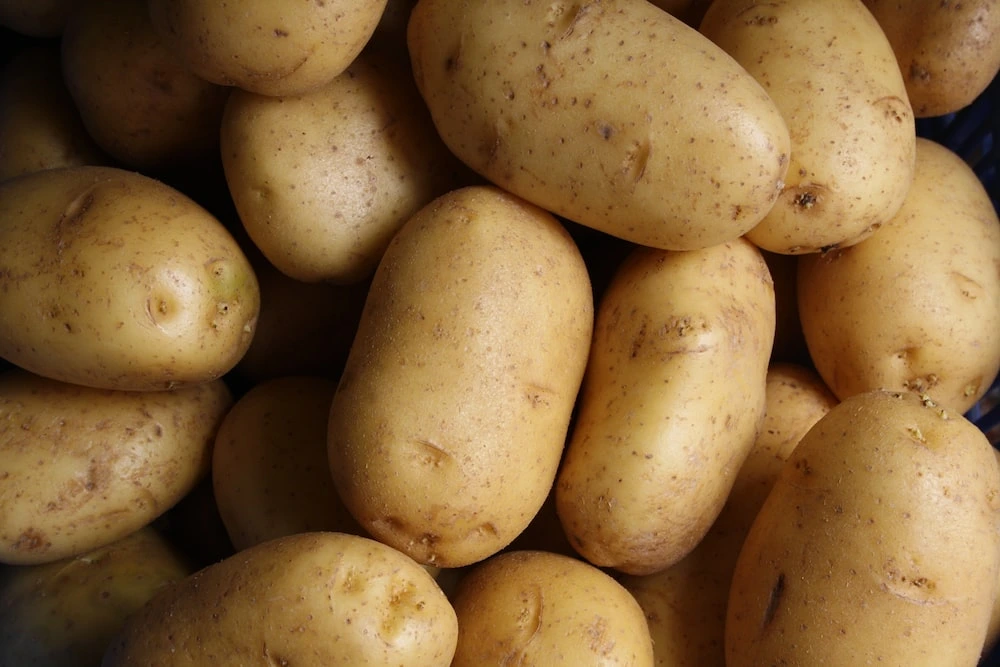 Potato Exporters in Aligarh